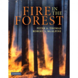 Fire in the Forest