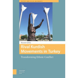 Rival Kurdish Movements in Turkey: Transforming Ethnic Conflict