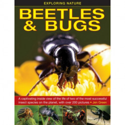 Exploring Nature: Beetles & Bugs