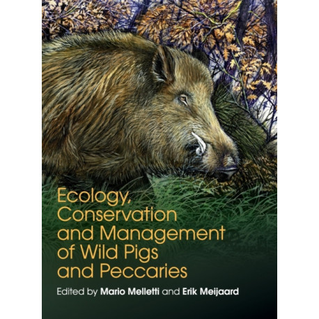 Ecology, Conservation and Management of Wild Pigs and Peccaries