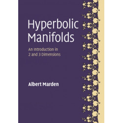 Hyperbolic Manifolds: An Introduction in 2 and 3 Dimensions