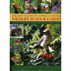 Best Plants to Attract and Keep Wildlife in the Garden