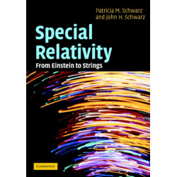 Special Relativity: From Einstein to Strings