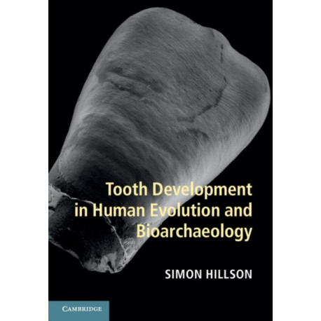 Tooth Development in Human Evolution and Bioarchaeology