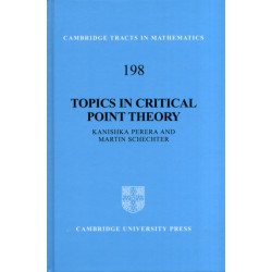 Topics in Critical Point Theory