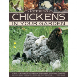 Keeping Chickens in Your Garden
