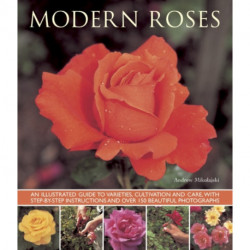 Modern Roses
