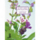 Tin Box of 20 Gift Cards and Envelopes : Simply Herbs