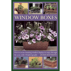 Window Boxes: How to Create Stunning Window Displays to Enjoy Throughout the Year