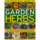 Practical Guide to Garden Herbs