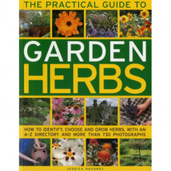 Practical Guide to Garden Herbs