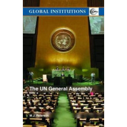 The UN General Assembly