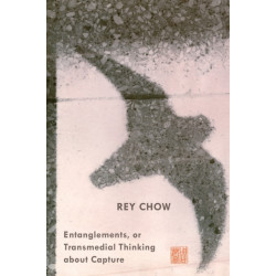 Entanglements, or Transmedial Thinking About Capture