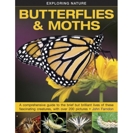 Exploring Nature: Butterflies & Moths