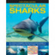 Exploring Nature: Spectacular Sharks
