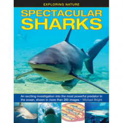 Exploring Nature: Spectacular Sharks