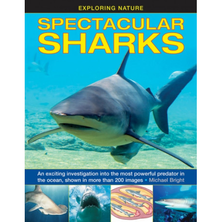 Exploring Nature: Spectacular Sharks