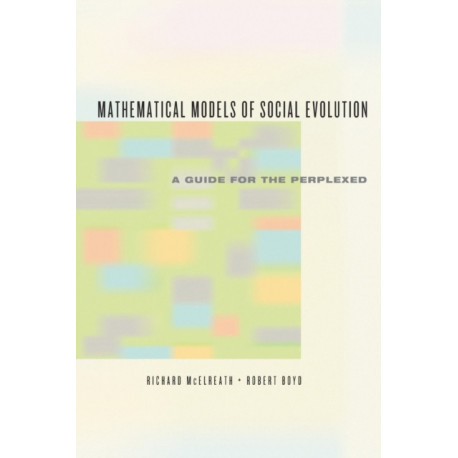 Mathematical Models of Social Evolution – A Guide for the Perplexed: A Guide for the Perplexed