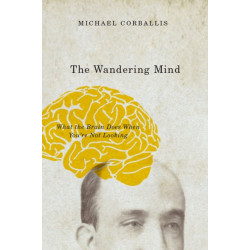 Everyday Troubles: The Micro-Politics of Interpersonal Conflict