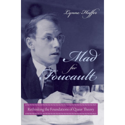 Mad for Foucault: Rethinking the Foundations of Queer Theory