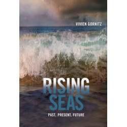 Rising Seas: Past, Present, Future