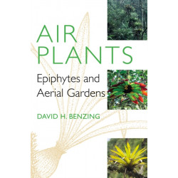 Air Plants: Epiphytes and Aerial Gardens