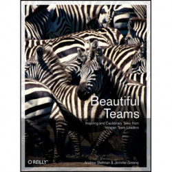 Beautiful Teams: Inspiring and Cautionary Tales From Veteran Team Leaders