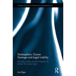 Stratospheric Ozone Damage and Legal Liability: US public policy and tort litigation to protect the ozone layer