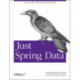 Just Spring Data
