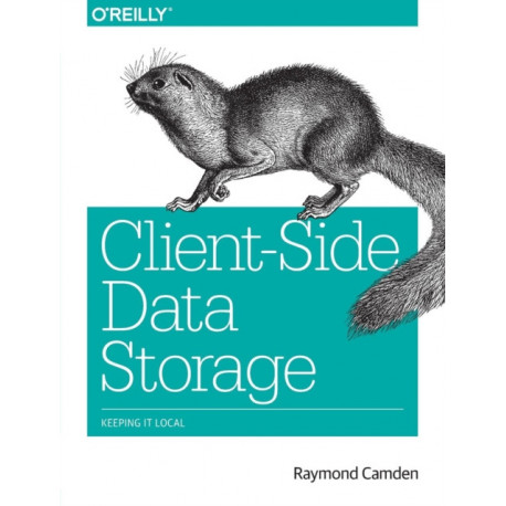 Client–Side Data Storage: Keeping it Local