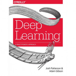 Deep Learning: A Practitioner's Approach