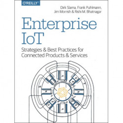 Enterprise IoT