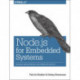 Node.js for Embedded Systems