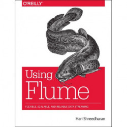 Using Flume: Flexible, Scalable, and Reliable Data Streaming