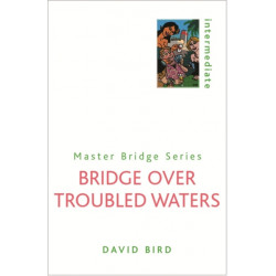 Bridge Over Troubled Waters