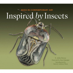 Inspired by Insects: Bugs in Contemporary Art