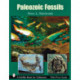 Paleozoic Fossils
