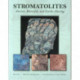 Stromatolites: Ancient, Beautiful, and Earth-Altering