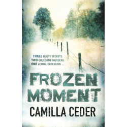 Frozen Moment: 'A good psychological crime novel that will appeal to fans of Wallander and Stieg Larsson' CHOICE