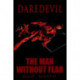 Daredevil: The Man without Fear