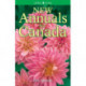 New Annuals for Canada