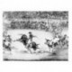 Great Goya Etchings: The Proverbs, the Tauromaquia and the Bulls of Bordeaux