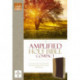 Amplified Holy Bible, Compact, Leathersoft, Tan/Burgundy: Captures the Full Meaning Behind the Original Greek and Hebrew