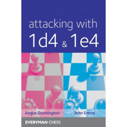 Attacking with 1d4 & 1e4