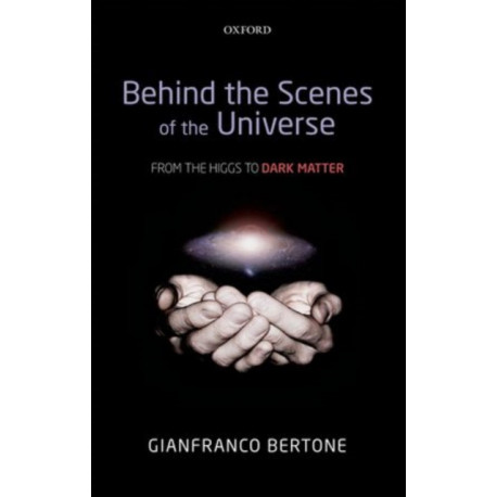 Behind the Scenes of the Universe: From the Higgs to Dark Matter