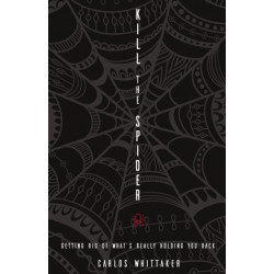 Kill the Spider: Getting Rid of What’s Really Holding You Back