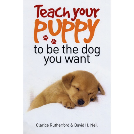 Teach Your Puppy to be the Dog You Want