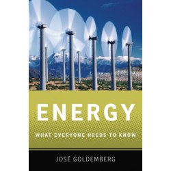 Energy: What Everyone Needs to Know®