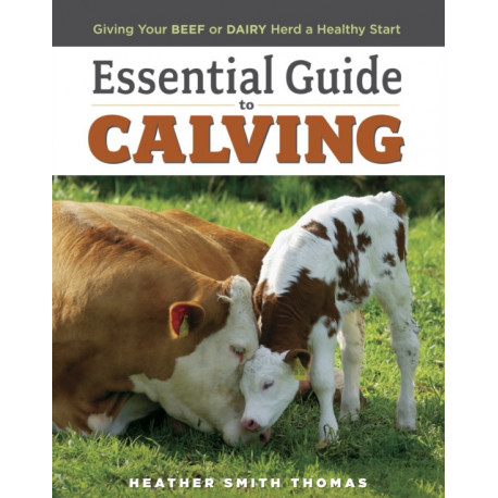 Essential Guide to Calving: Giving Your Beef or Dairy Herd a Healthy Start