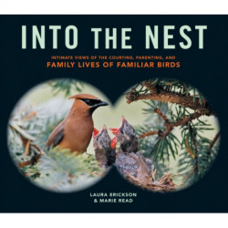 Into the Nest: Intimate Views of the Courting, Parenting, and Family Lives of Familiar Birds